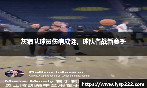 灰狼队球员伤病成谜，球队备战新赛季